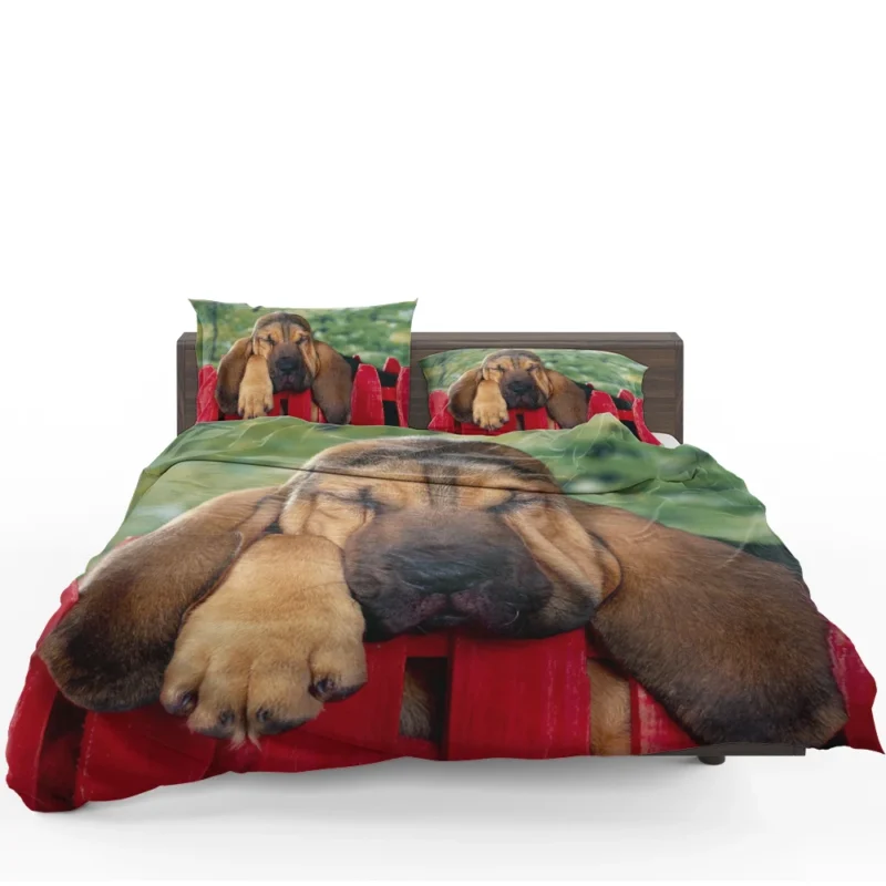Adorable Sleeping Bloodhound Puppies: Bloodhound Bedding Set
