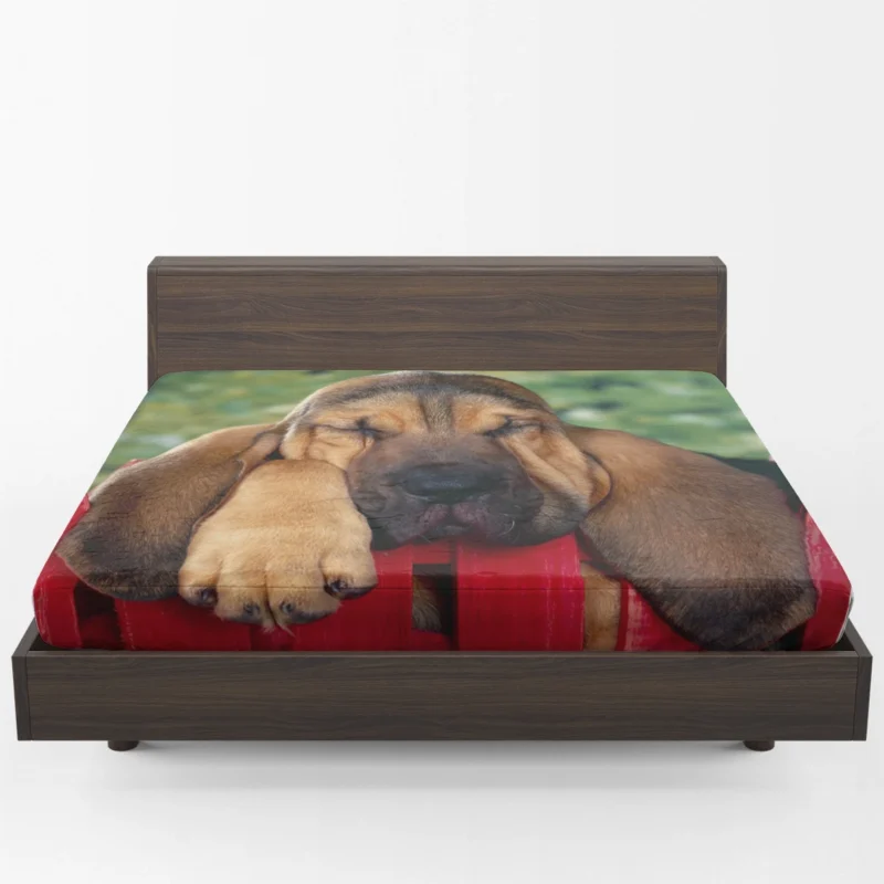 Adorable Sleeping Bloodhound Puppies: Bloodhound Fitted Sheet 1