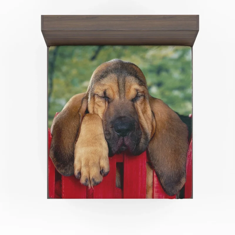 Adorable Sleeping Bloodhound Puppies: Bloodhound Fitted Sheet