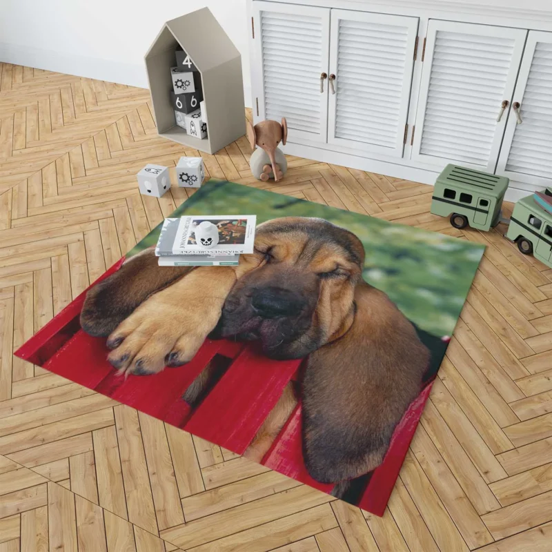 Adorable Sleeping Bloodhound Puppies: Bloodhound Floor Rug 1