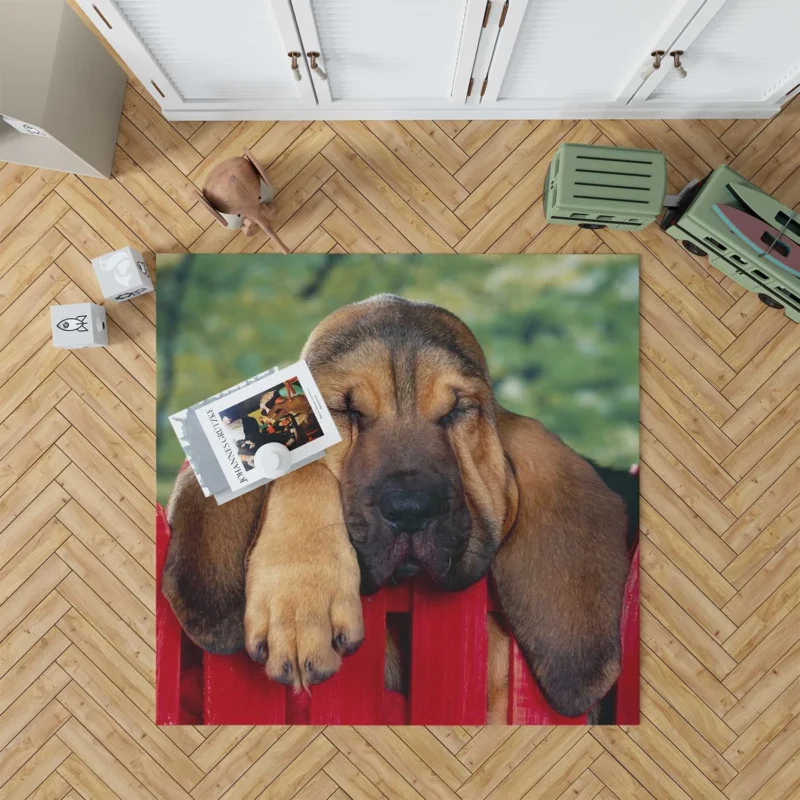 Adorable Sleeping Bloodhound Puppies: Bloodhound Floor Rug