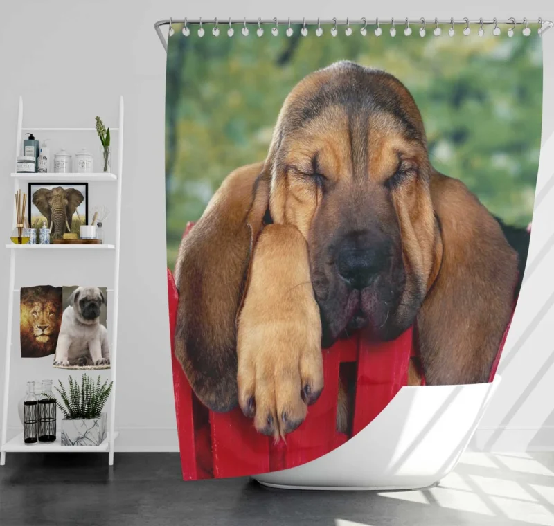 Adorable Sleeping Bloodhound Puppies: Bloodhound Shower Curtain