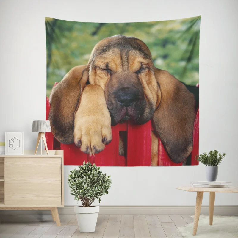 Adorable Sleeping Bloodhound Puppies  Bloodhound Wall Tapestry