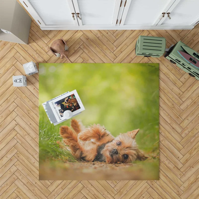 Adorable and Endearing: Yorkshire Terrier Quartet Floor Rug