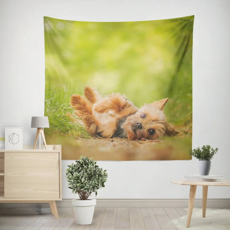 Adorable and Endearing  Yorkshire Terrier Quartet Wall Tapestry