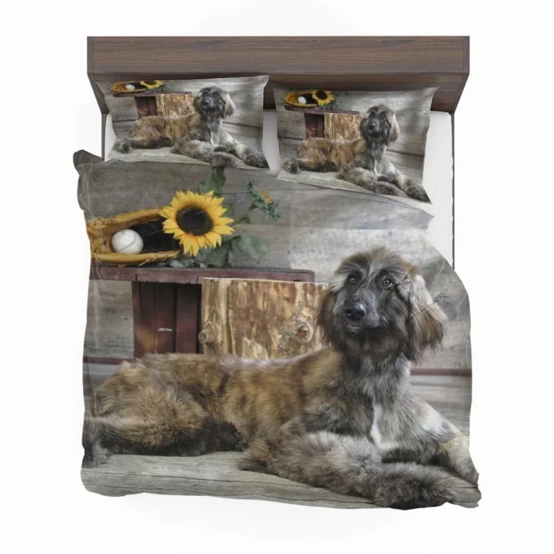 Afghan Hound Quartet: Abundance of Furry Elegance Bedding Set 1