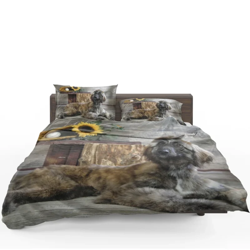 Afghan Hound Quartet: Abundance of Furry Elegance Bedding Set