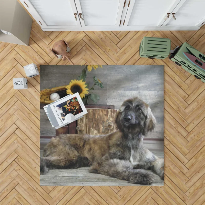 Afghan Hound Quartet: Abundance of Furry Elegance Floor Rug