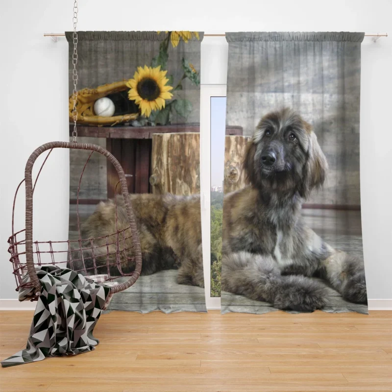 Afghan Hound Quartet: Abundance of Furry Elegance Window Curtain