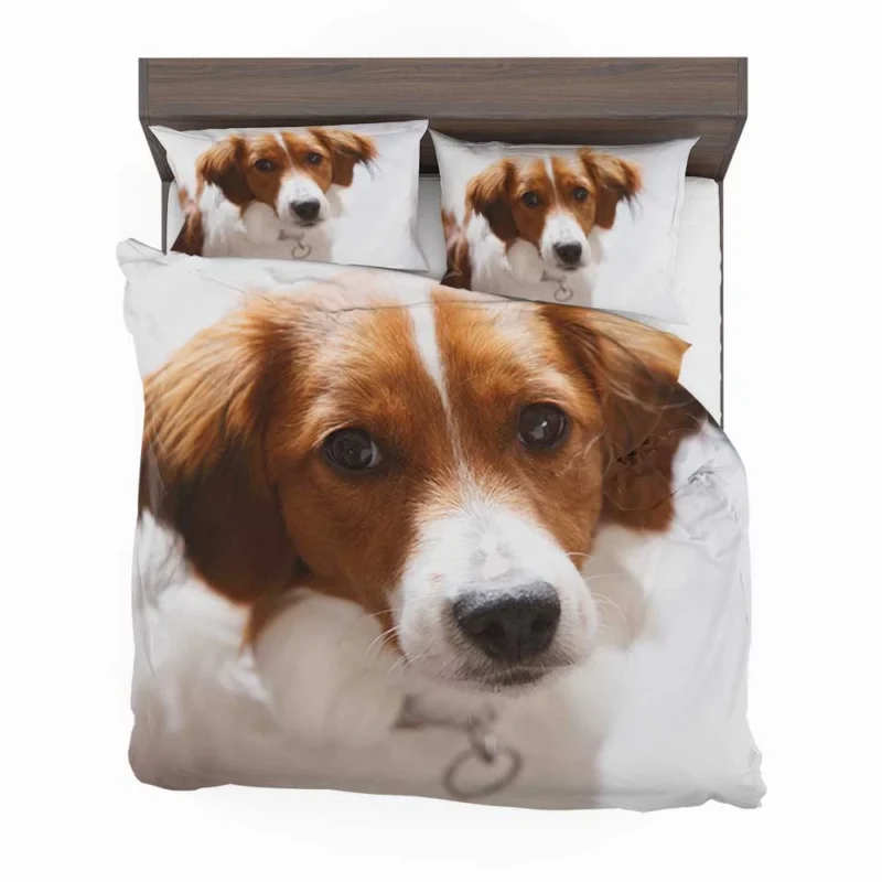 Agile and Energetic Border Collie: Border Collie Bedding Set 1