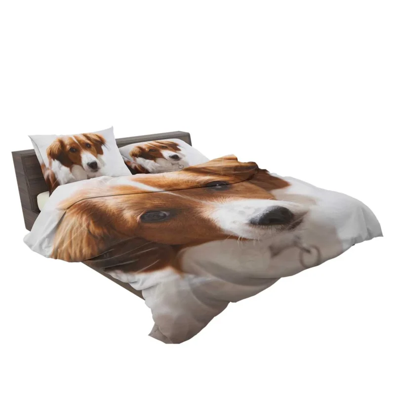 Agile and Energetic Border Collie: Border Collie Bedding Set 2