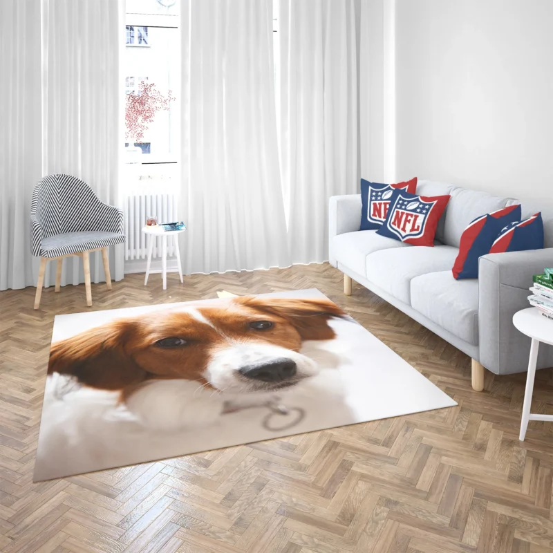 Agile and Energetic Border Collie: Border Collie Floor Rug 2