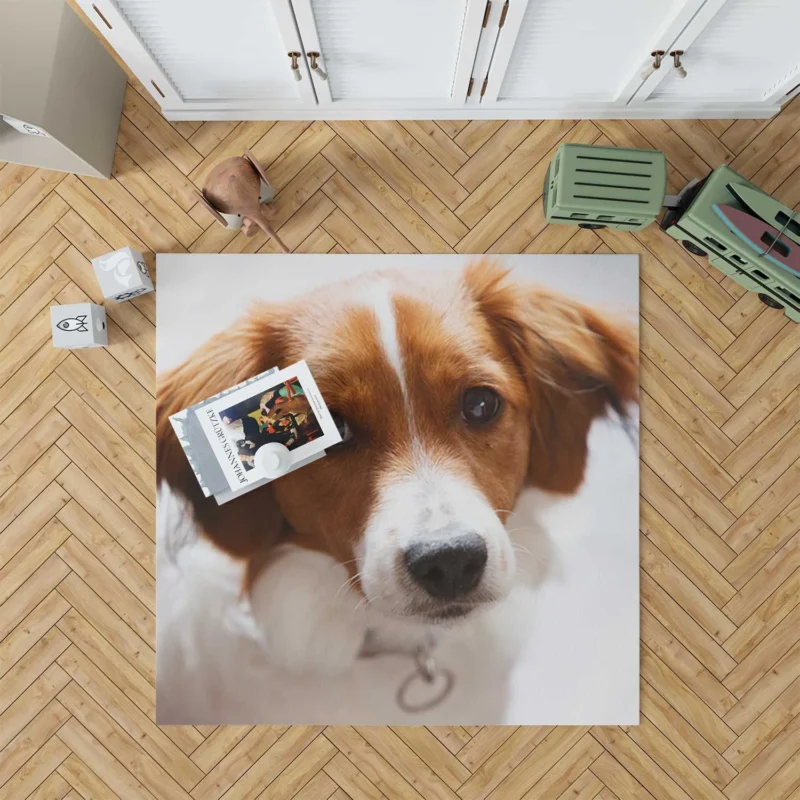 Agile and Energetic Border Collie: Border Collie Floor Rug