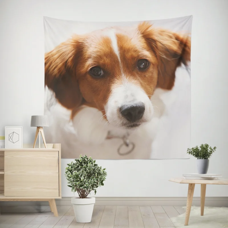 Agile and Energetic Border Collie  Border Collie Wall Tapestry