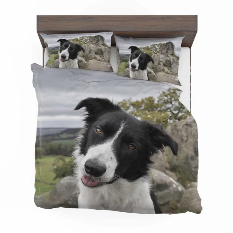 Agile and Energetic Border Collie Dog: Border Collie Bedding Set 1