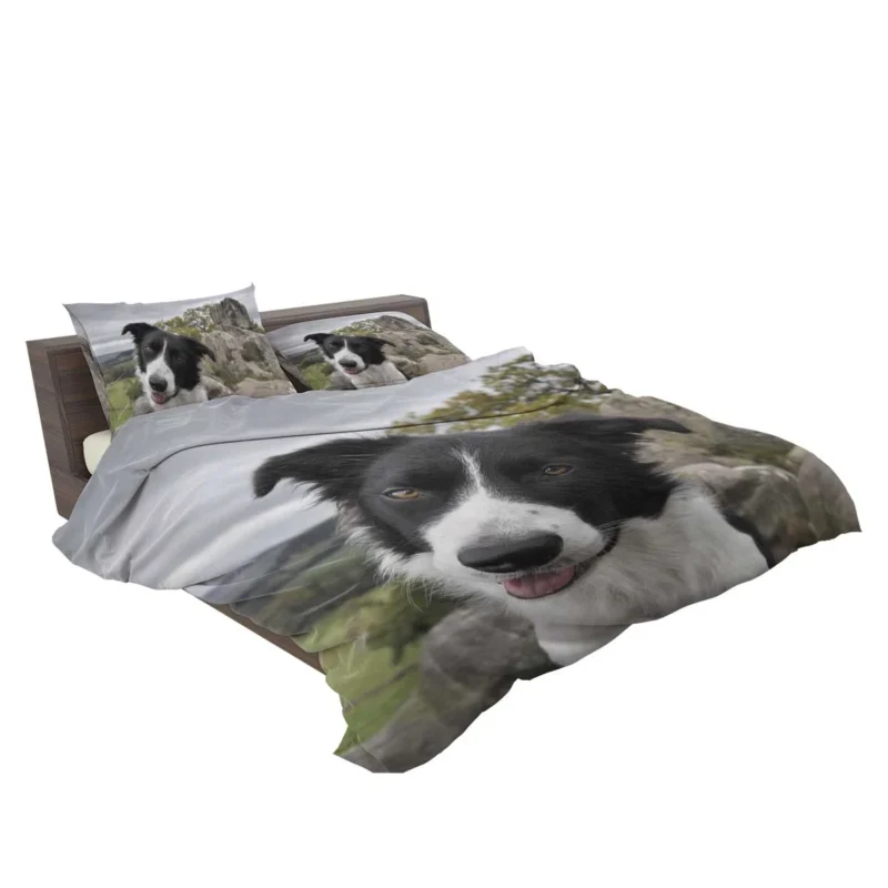 Agile and Energetic Border Collie Dog: Border Collie Bedding Set 2