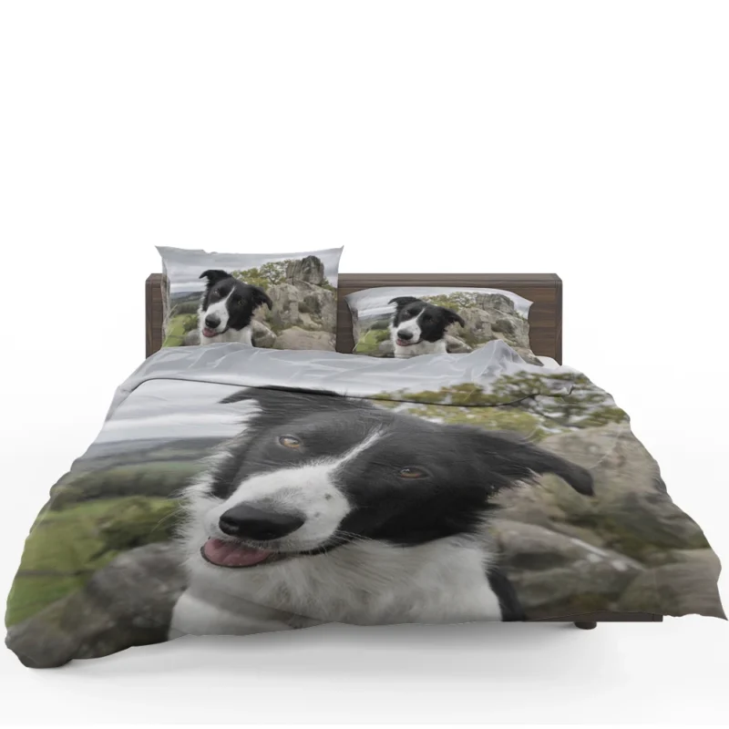 Agile and Energetic Border Collie Dog: Border Collie Bedding Set