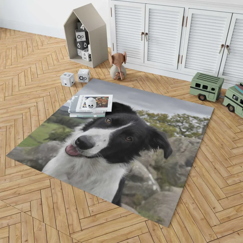 Agile and Energetic Border Collie Dog: Border Collie Floor Rug 1