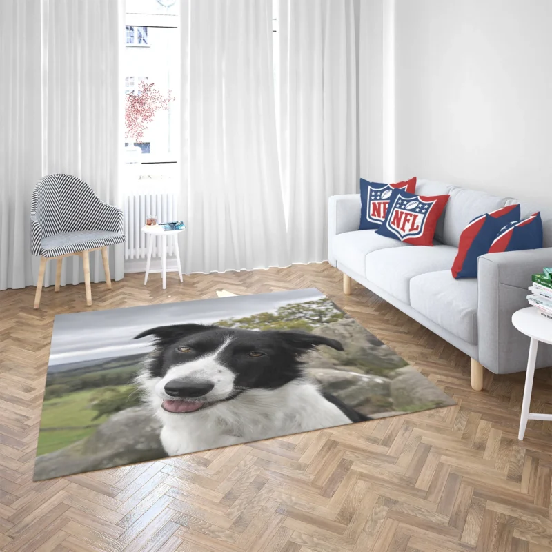 Agile and Energetic Border Collie Dog: Border Collie Floor Rug 2