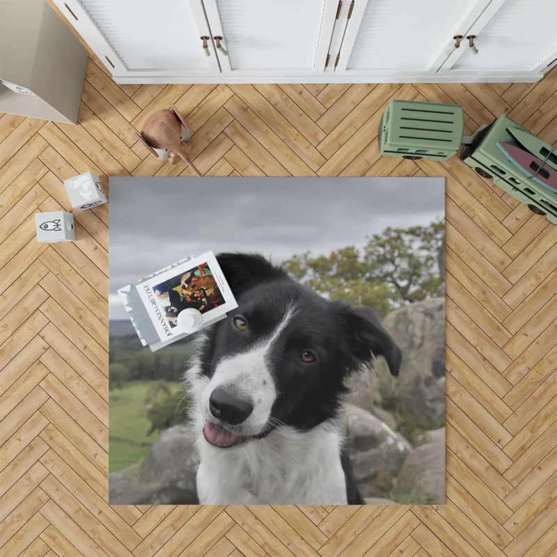 Agile and Energetic Border Collie Dog: Border Collie Floor Rug