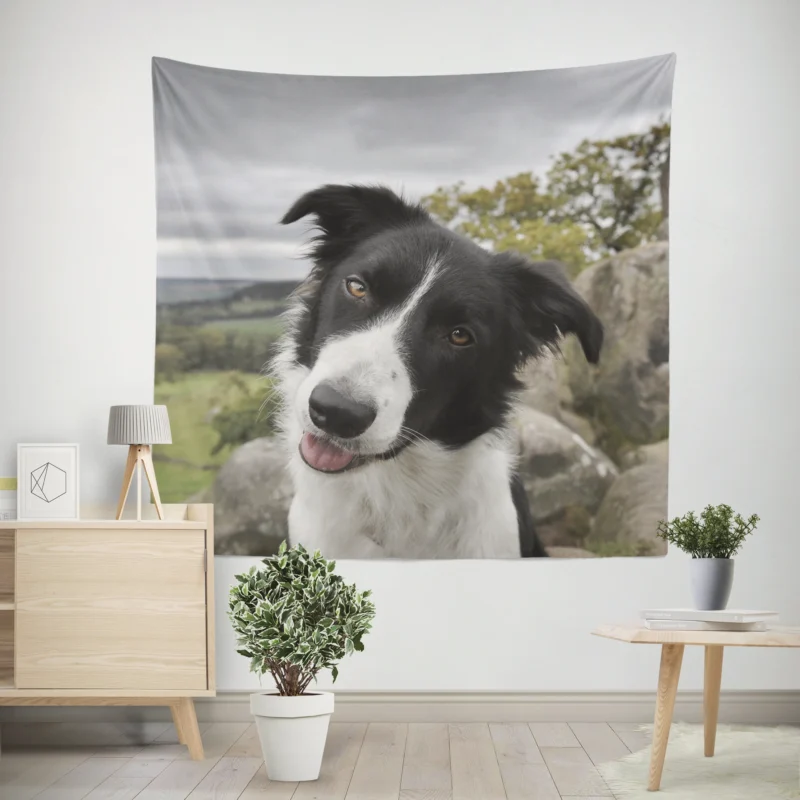 Agile and Energetic Border Collie Dog  Border Collie Wall Tapestry