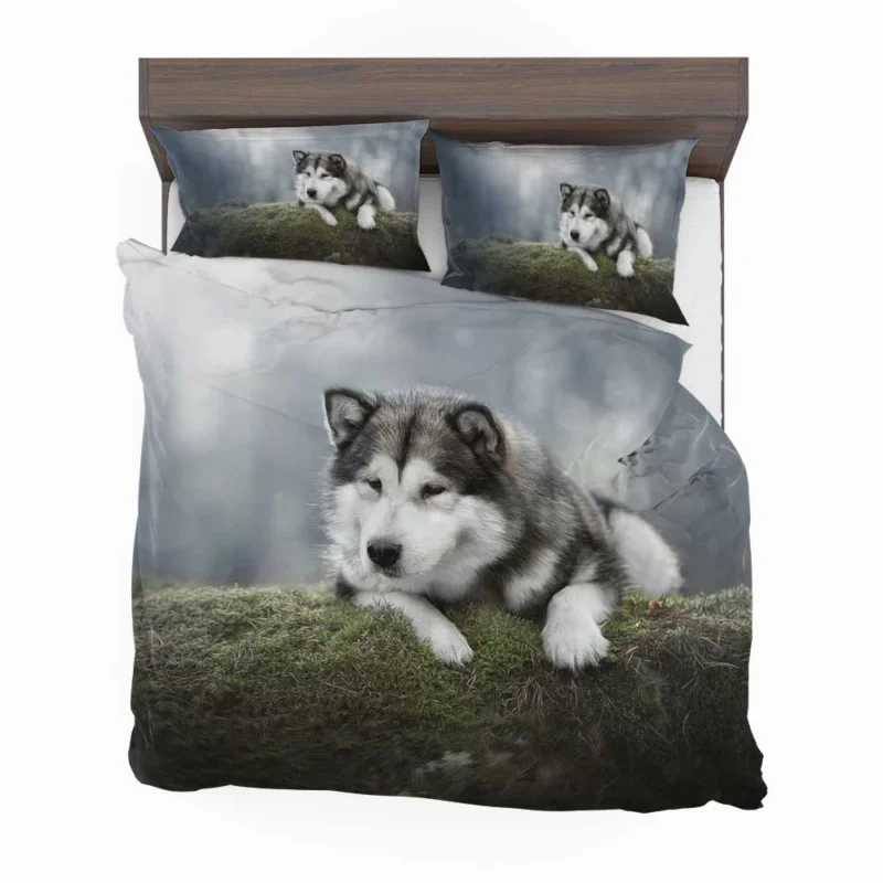 Alaskan Malamute Quartet in a Mossy Oasis Bedding Set 1