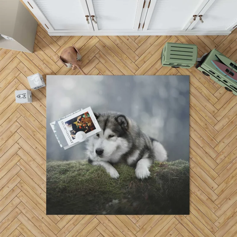 Alaskan Malamute Quartet in a Mossy Oasis Floor Rug