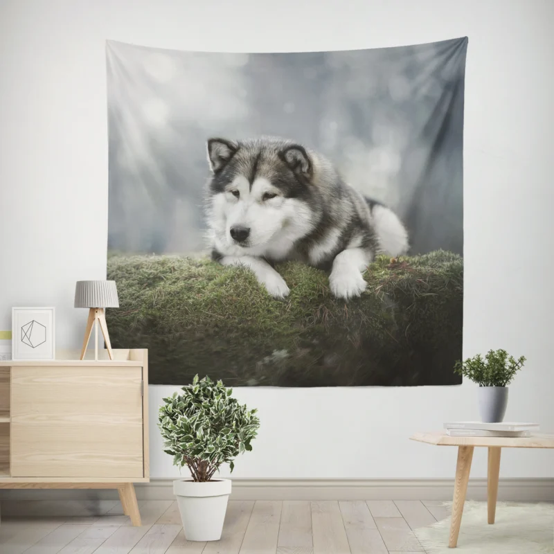 Alaskan Malamute Quartet in a Mossy Oasis Wall Tapestry