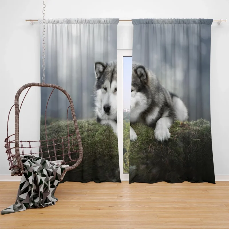 Alaskan Malamute Quartet in a Mossy Oasis Window Curtain