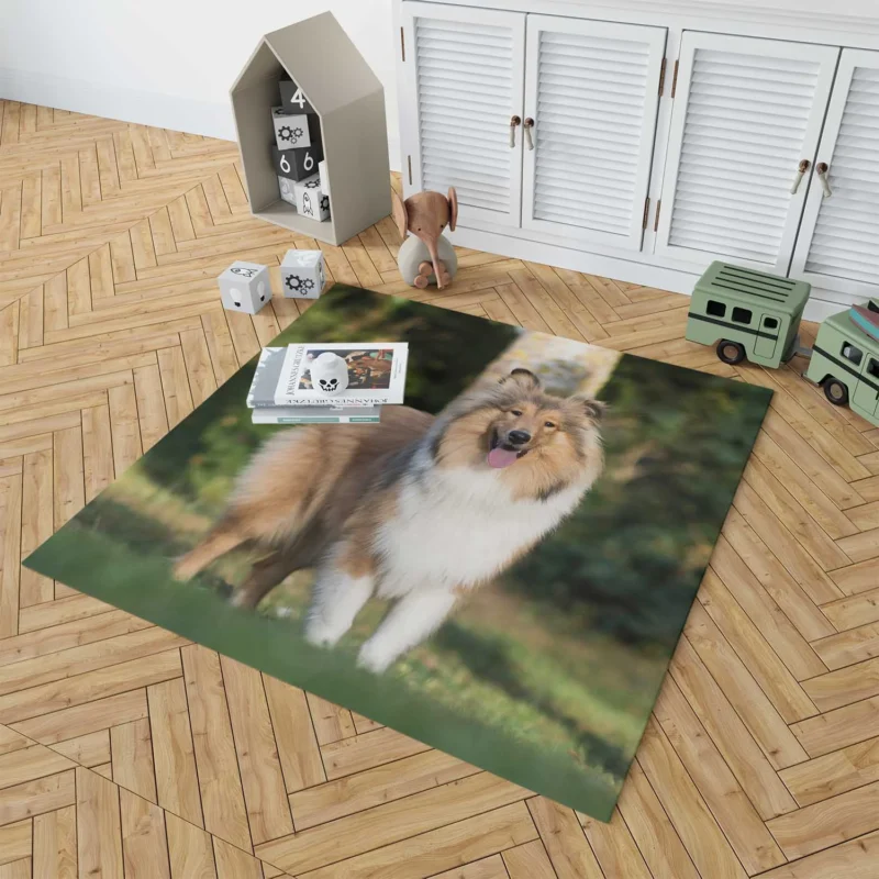 Alluring Depth of Field: Shetland Sheepdog Quartet Floor Rug 1