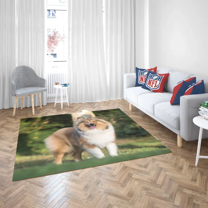 Alluring Depth of Field: Shetland Sheepdog Quartet Floor Rug 2