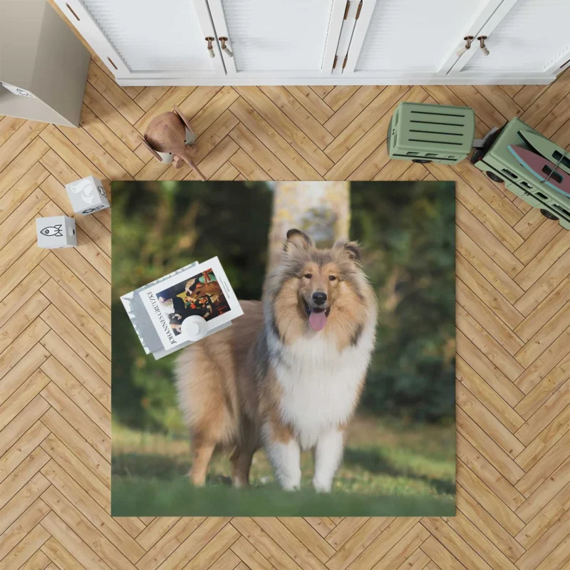 Alluring Depth of Field: Shetland Sheepdog Quartet Floor Rug