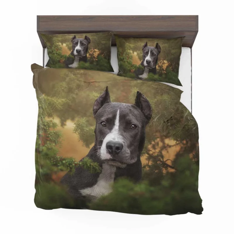 American Staffordshire Excellence: Bull Terrier Quartet Bedding Set 1