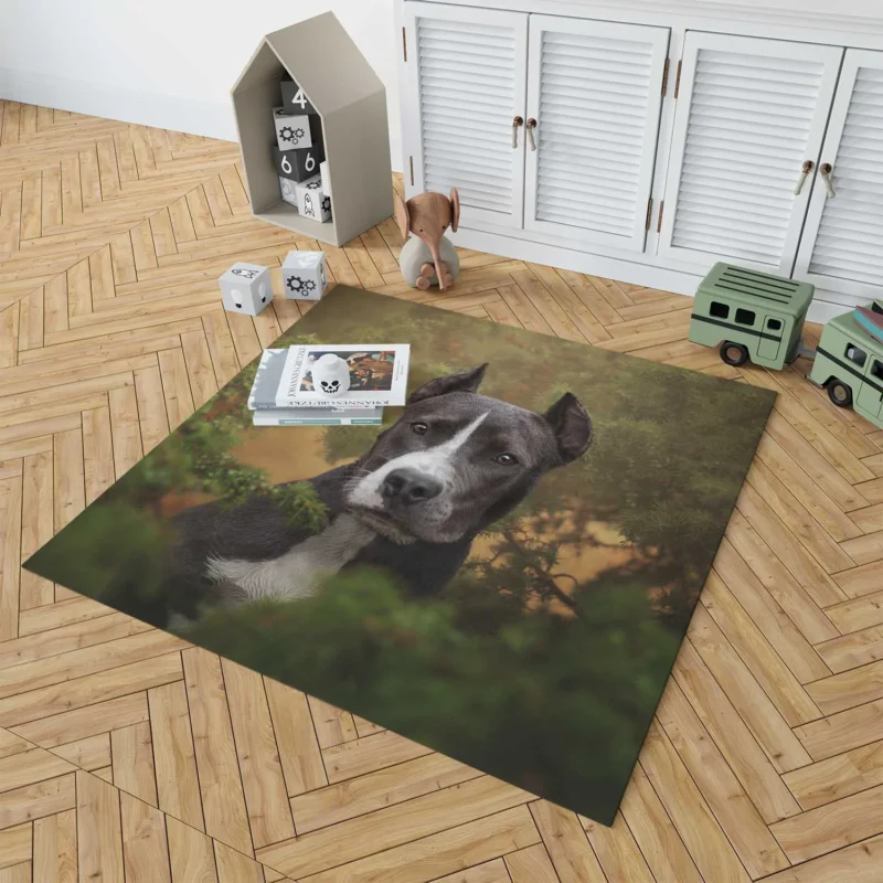 American Staffordshire Excellence: Bull Terrier Quartet Floor Rug 1