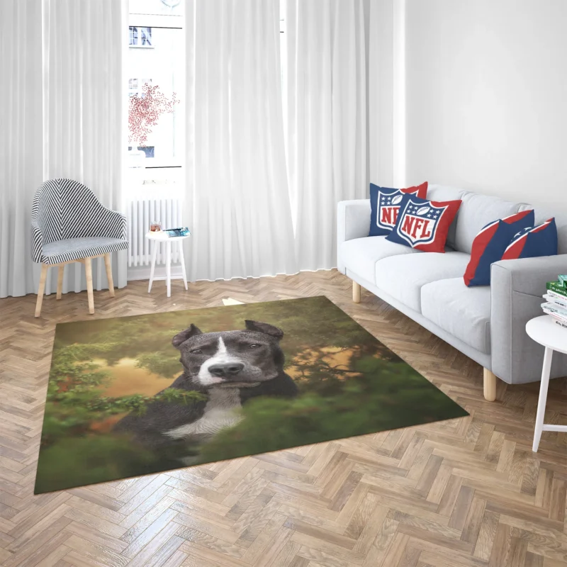 American Staffordshire Excellence: Bull Terrier Quartet Floor Rug 2