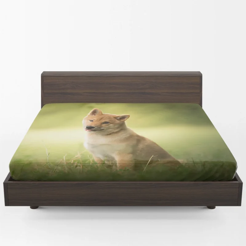 Amidst Blur and Greenery: Shiba Inu Quartet Fitted Sheet 1