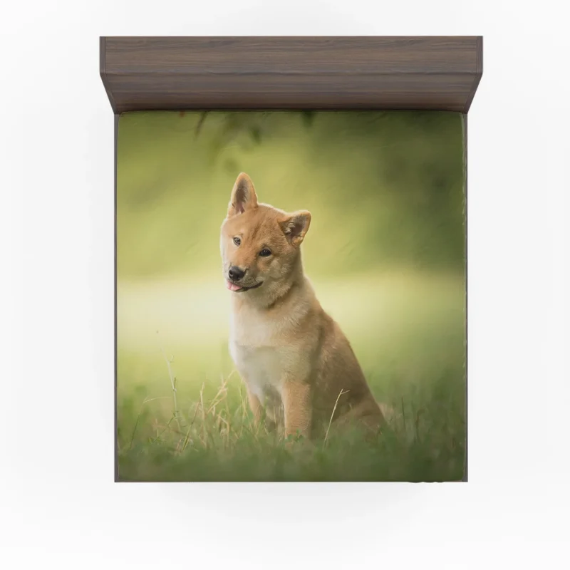 Amidst Blur and Greenery: Shiba Inu Quartet Fitted Sheet