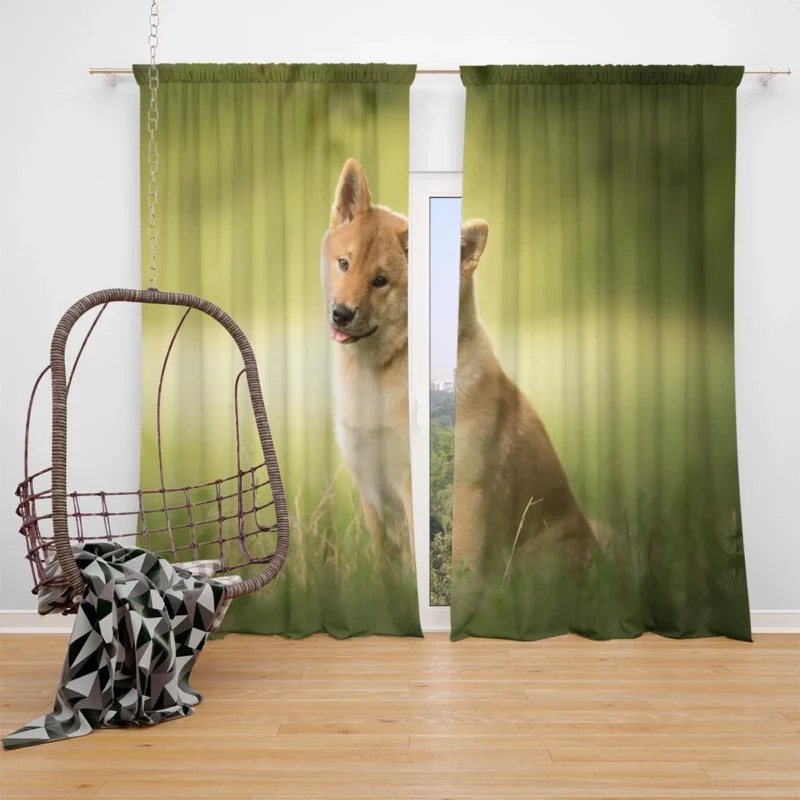 Amidst Blur and Greenery: Shiba Inu Quartet Window Curtain