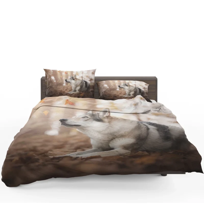 Amidst Bokeh Delight: Wolfdog Quartet Bedding Set