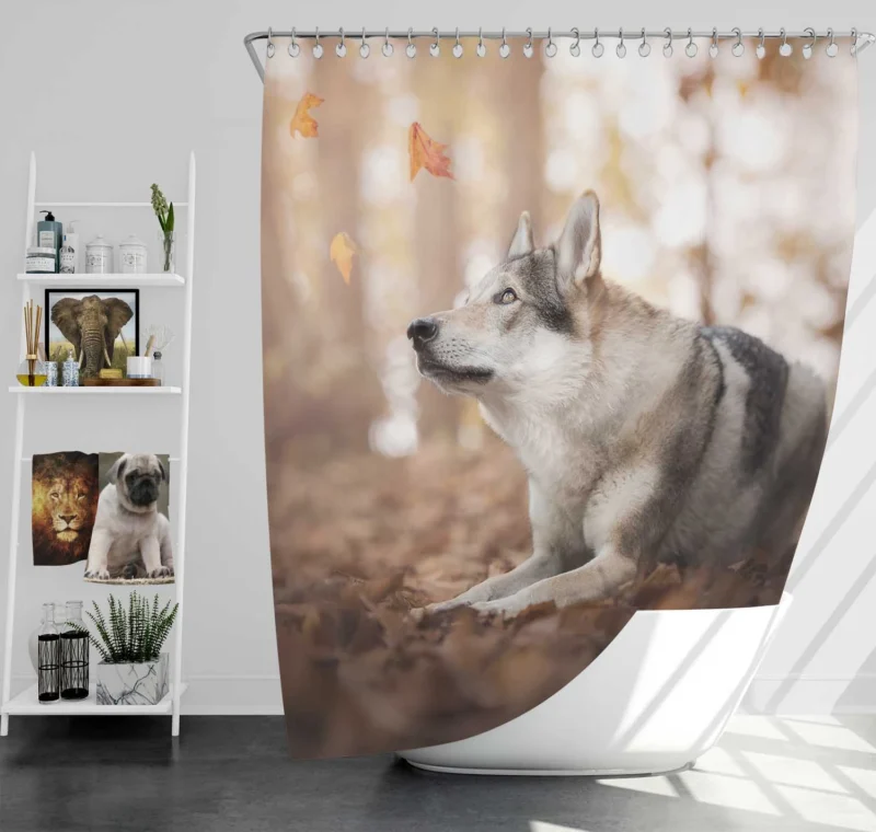 Amidst Bokeh Delight: Wolfdog Quartet Shower Curtain