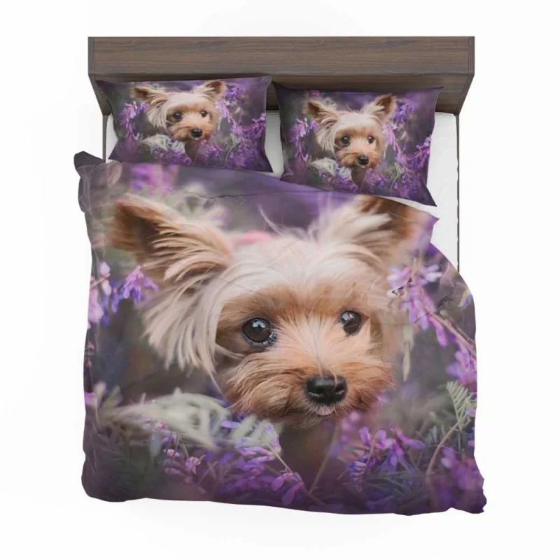 Amidst Purple Blooms: Yorkshire Terrier Quartet Bedding Set 1