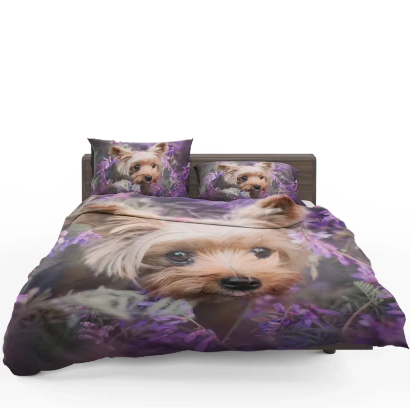 Amidst Purple Blooms: Yorkshire Terrier Quartet Bedding Set