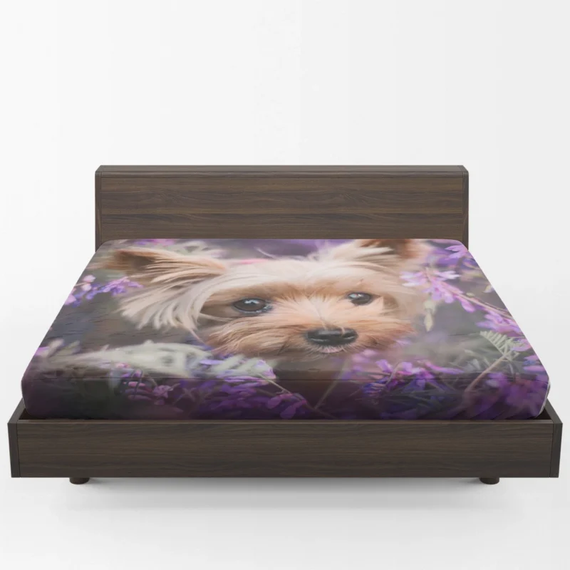 Amidst Purple Blooms: Yorkshire Terrier Quartet Fitted Sheet 1