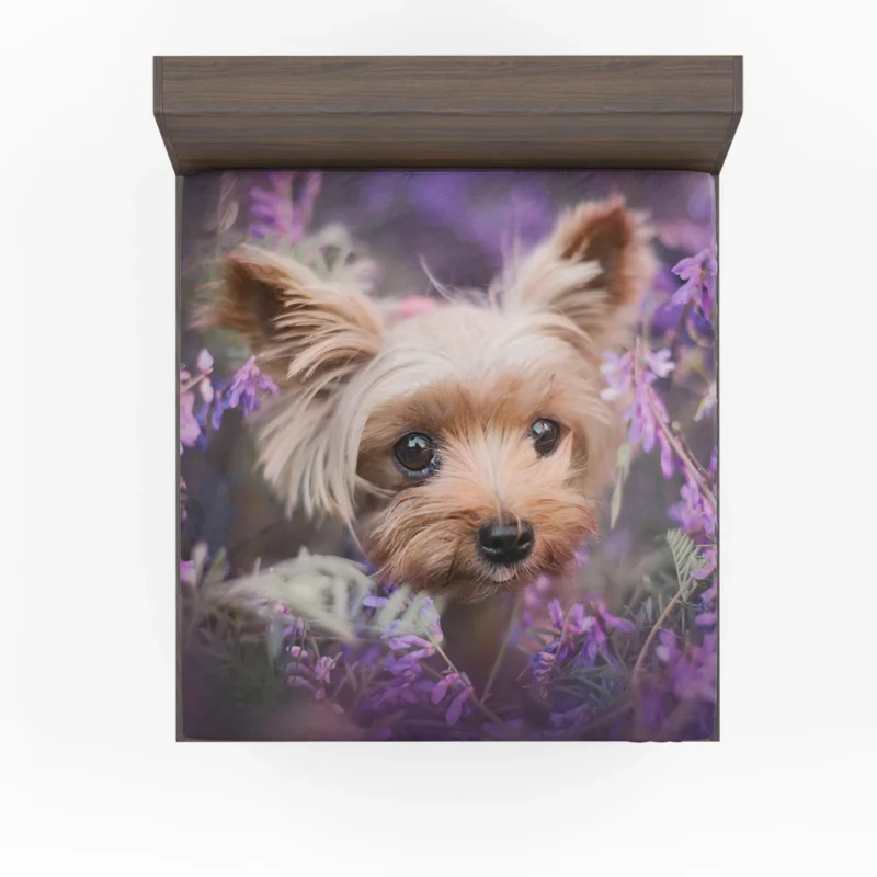 Amidst Purple Blooms: Yorkshire Terrier Quartet Fitted Sheet