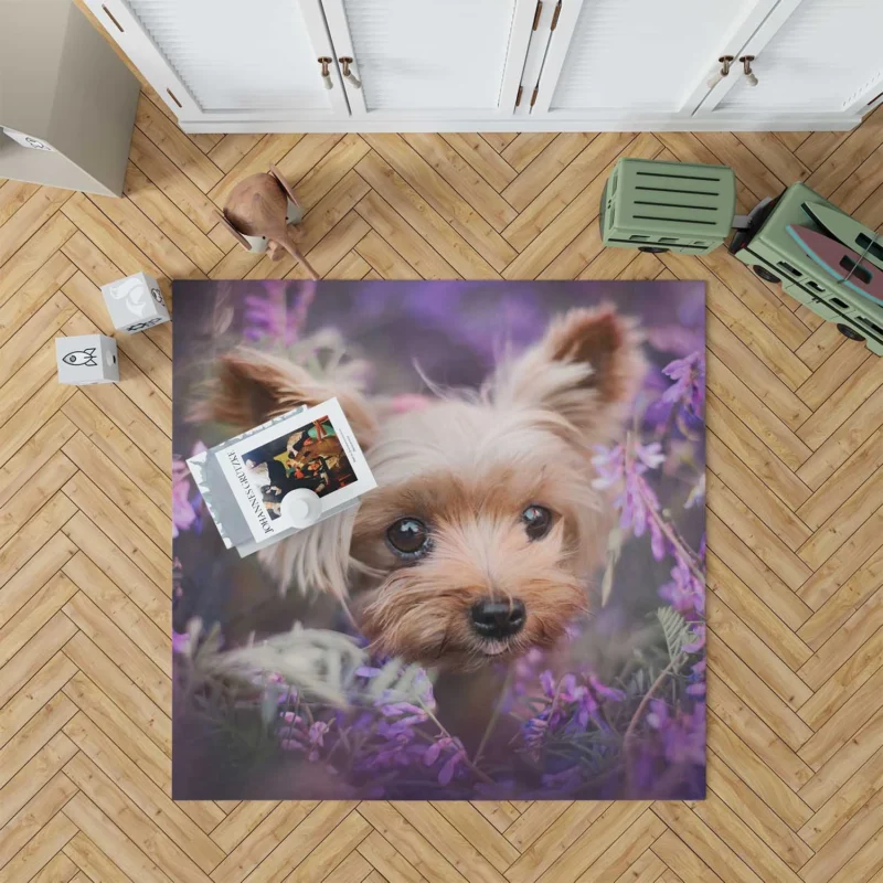 Amidst Purple Blooms: Yorkshire Terrier Quartet Floor Rug