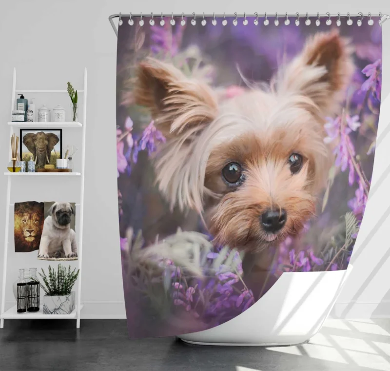 Amidst Purple Blooms: Yorkshire Terrier Quartet Shower Curtain