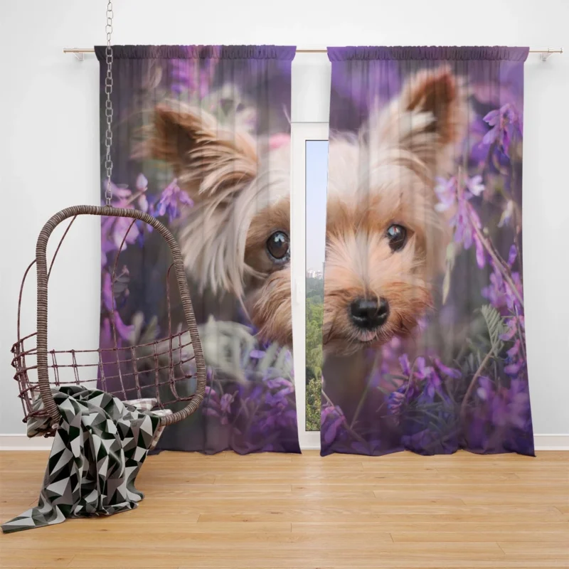 Amidst Purple Blooms: Yorkshire Terrier Quartet Window Curtain