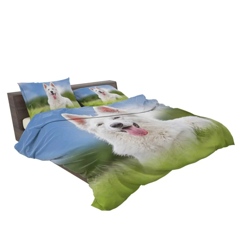 Amidst the Blurred Grass: White Shepherd Quartet Bedding Set 2