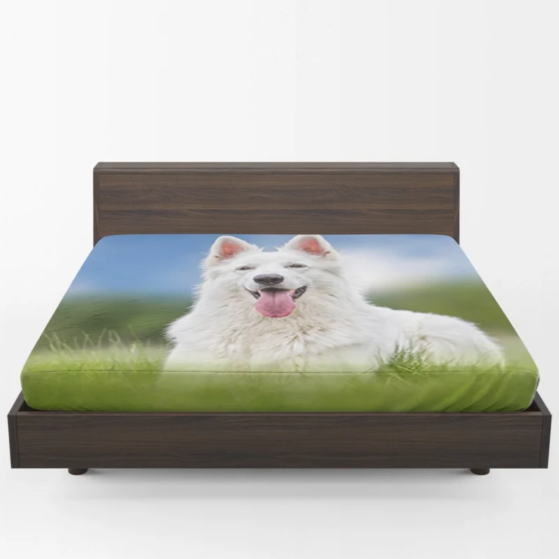 Amidst the Blurred Grass: White Shepherd Quartet Fitted Sheet 1