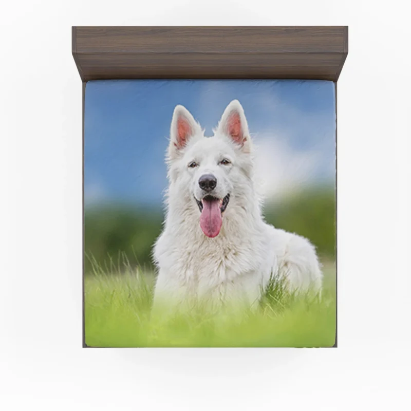 Amidst the Blurred Grass: White Shepherd Quartet Fitted Sheet